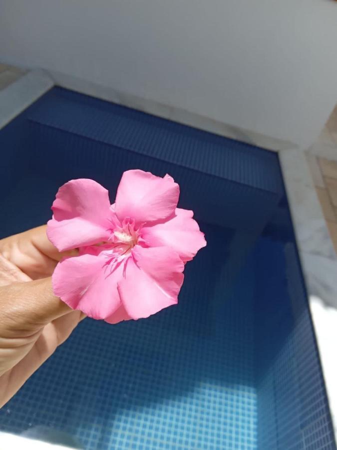 Tamandare Residence ภายนอก รูปภาพ